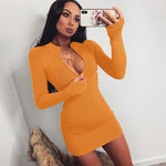 Load image into Gallery viewer, Stand Collar Zipper Deep V-neck Ribbed Dress
